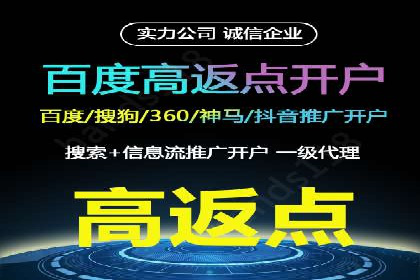 某电商平台的SEM代运营策略及效果评估
